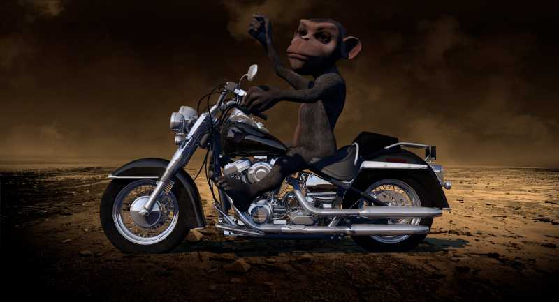 三维渲染下的摩托车上的猴子