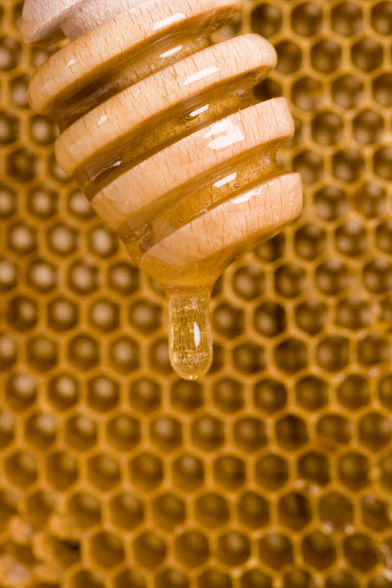 蜂巢背景上流动的蜂蜜