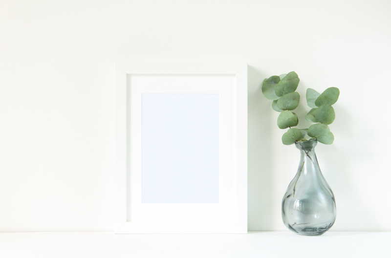 白色背景下的空白相框和小盆栽