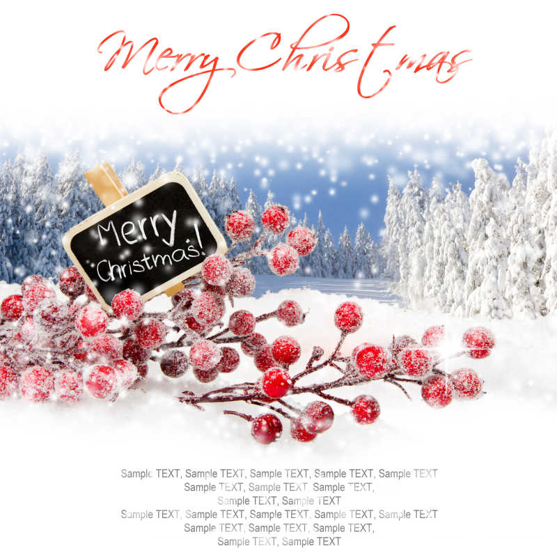 圣诞主题背景上的红色果实和写着圣诞快乐的木牌