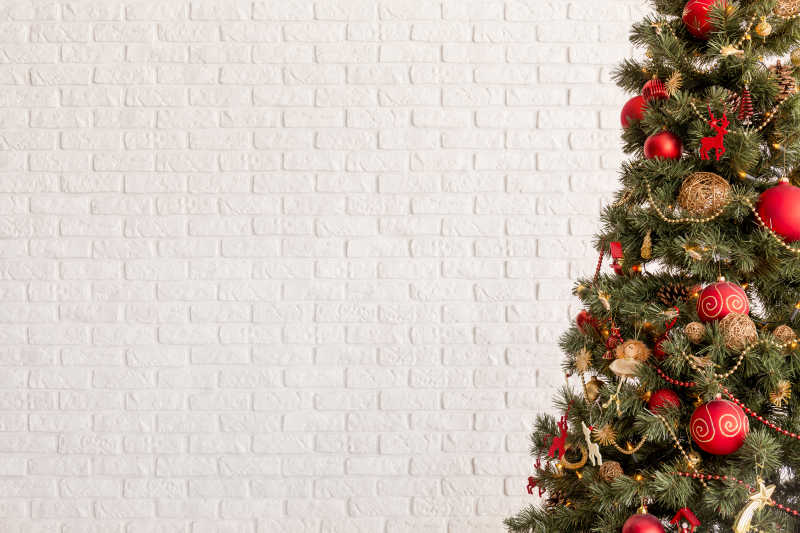 白色砖墙背景下的圣诞树