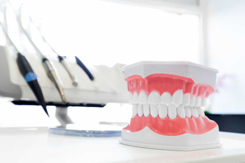牙科诊所的牙齿模型