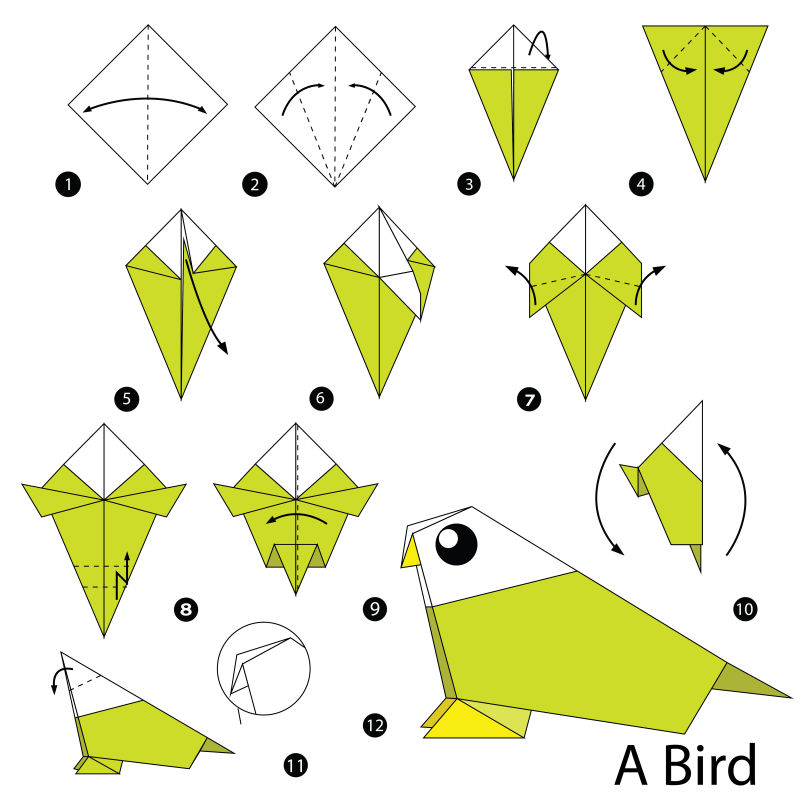 折纸鸟步骤的矢量图解