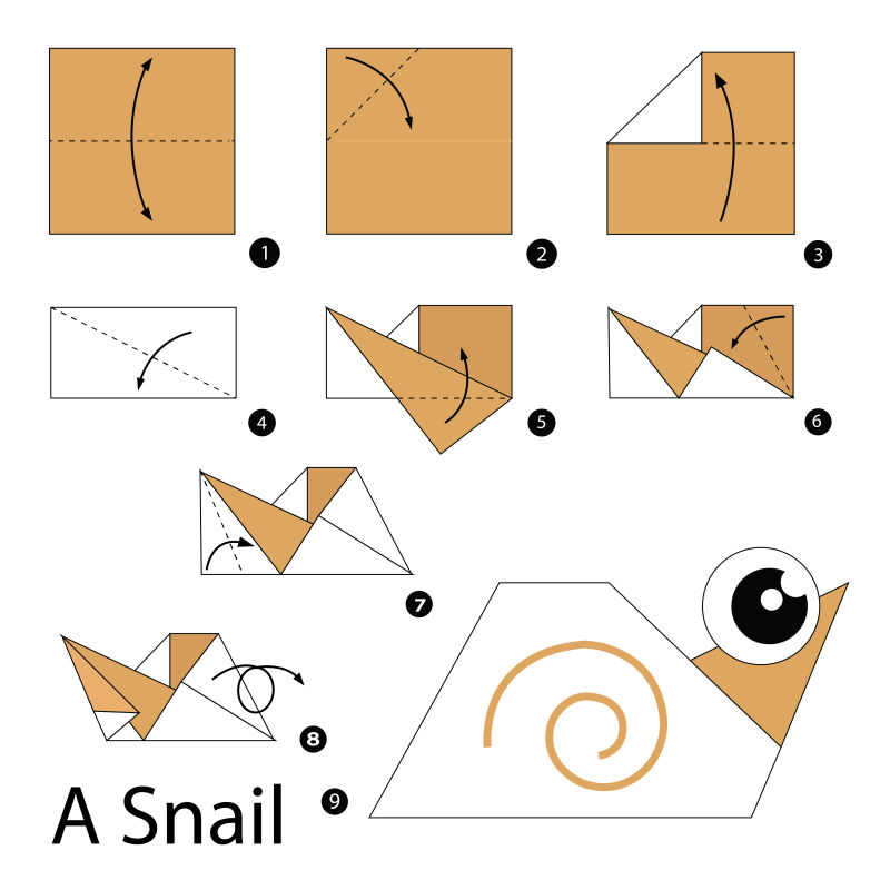 矢量折纸蜗牛的步骤图解
