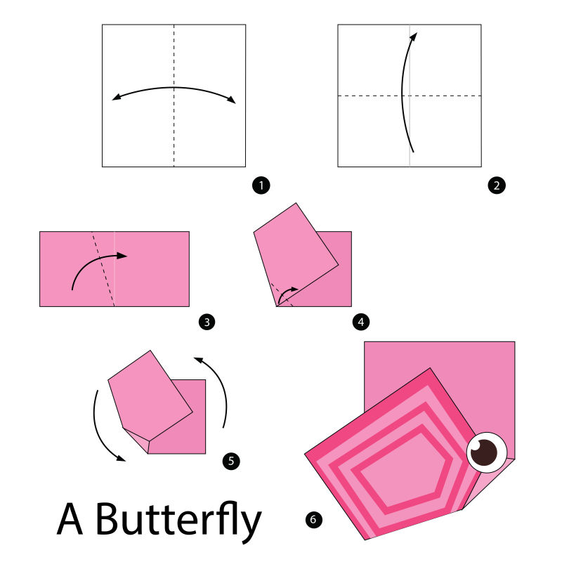 折纸蝴蝶步骤的矢量图解