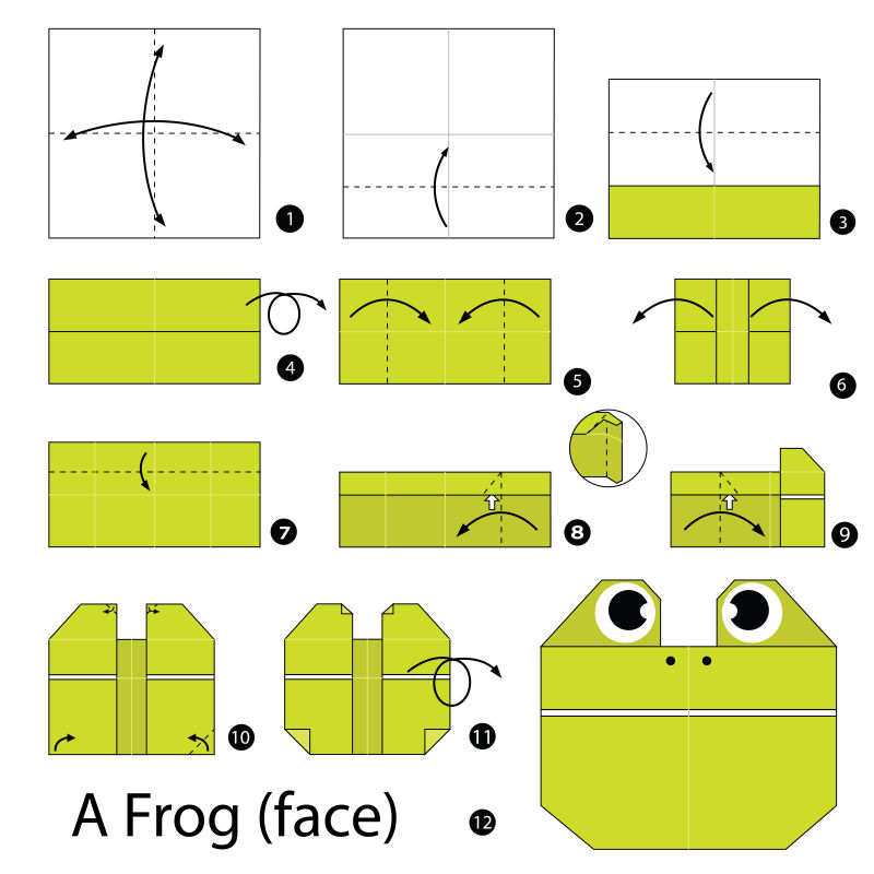 矢量折纸青蛙的步骤图解