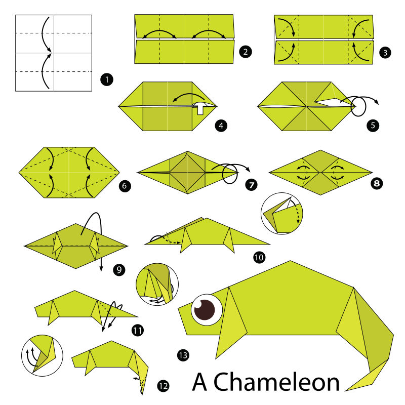 矢量折纸变色龙的步骤图解