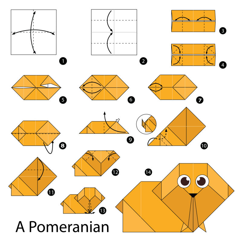 矢量折纸波米拉尼亚种小狗的步骤图解