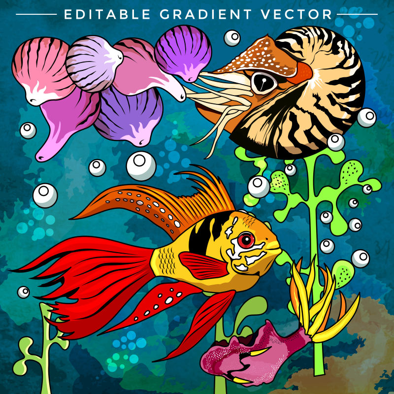 色彩斑斓的热带鱼矢量插画