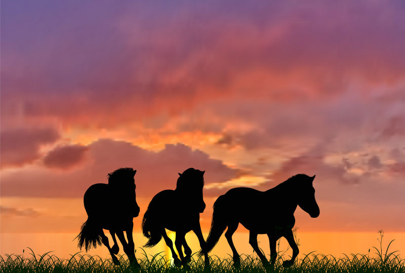 日落背景下三匹奔跑的马剪影