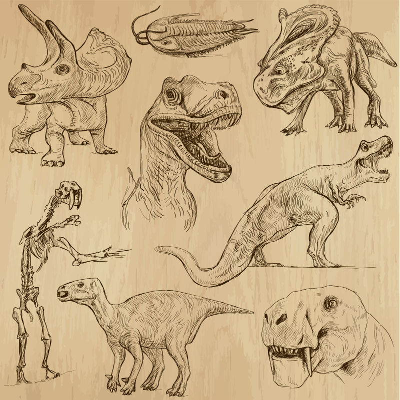 不同种类的史前动物矢量插画