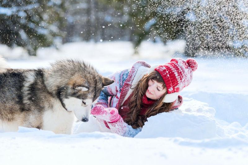 冬天里在雪地里玩耍的小女孩和哈士奇