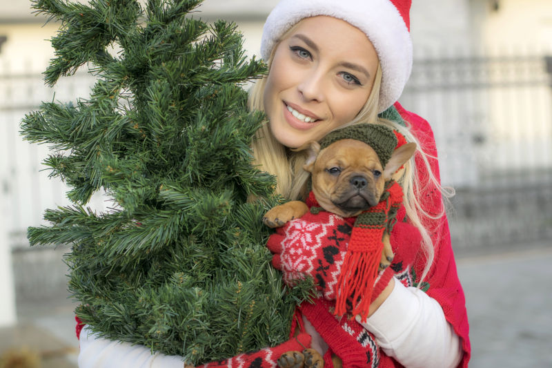 穿着圣诞装的美女拿着圣诞树抱着小狗