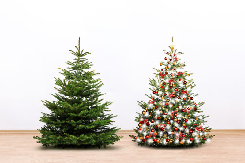 白色墙边的两棵圣诞树