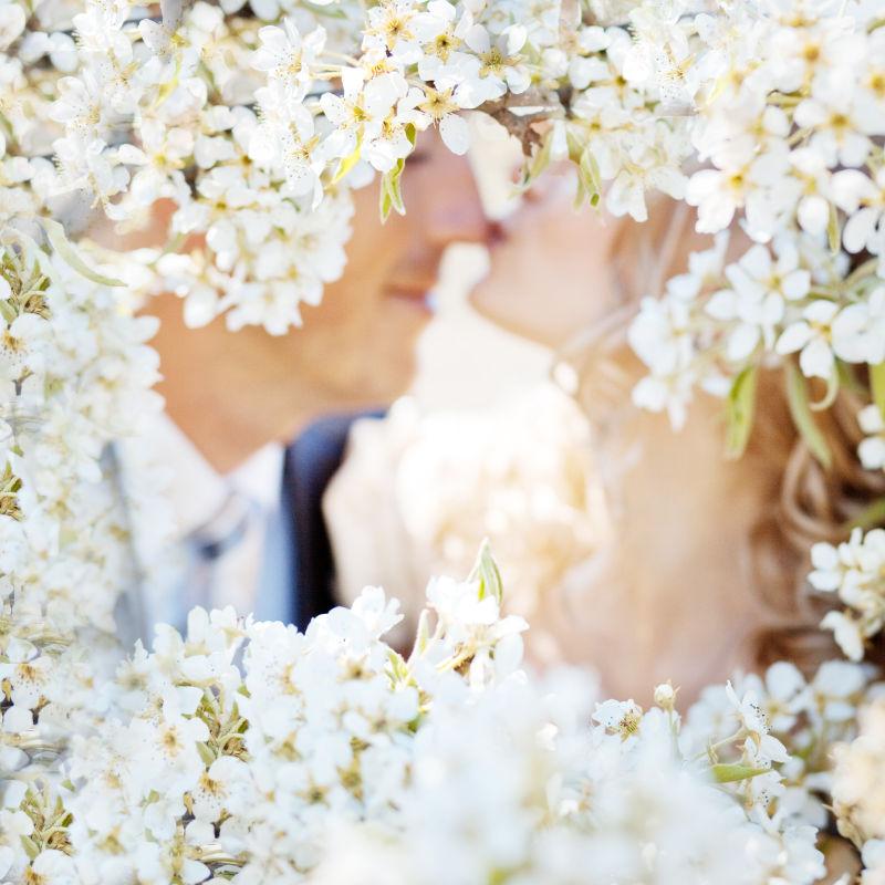 花朵里接吻的新婚夫妇