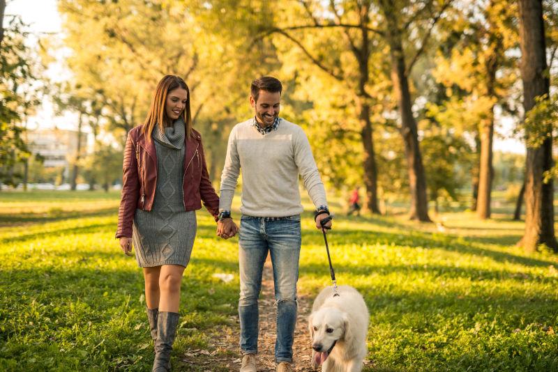 年轻的夫妇在公园里和他们的狗一起散步