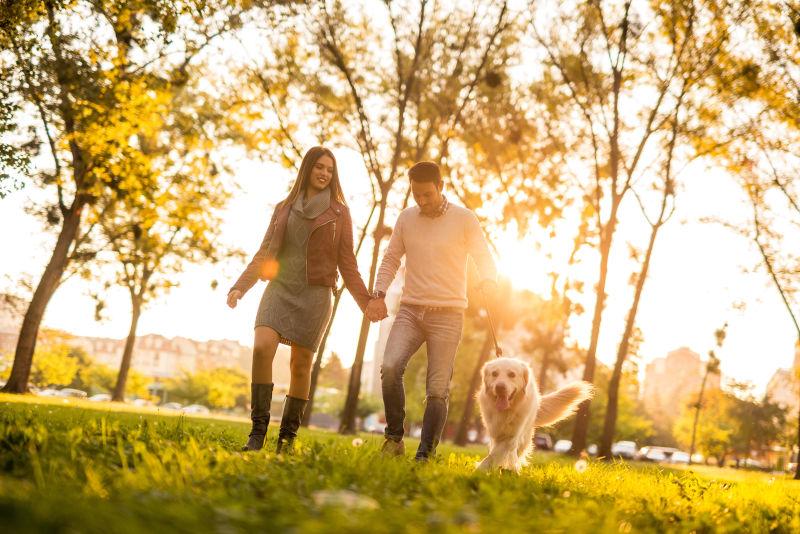 快乐的年轻夫妇和他们的狗一起散步