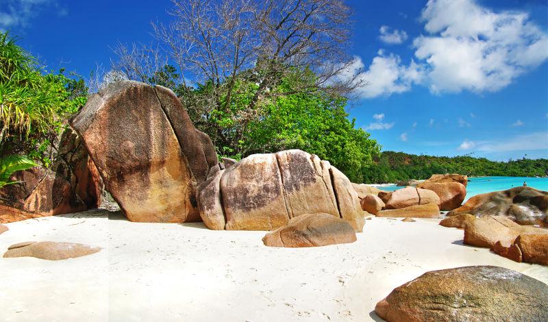 毛里求斯岛海滩上美丽的岩石