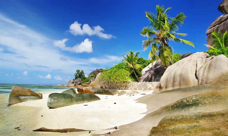 毛里求斯岛美丽的热带景色