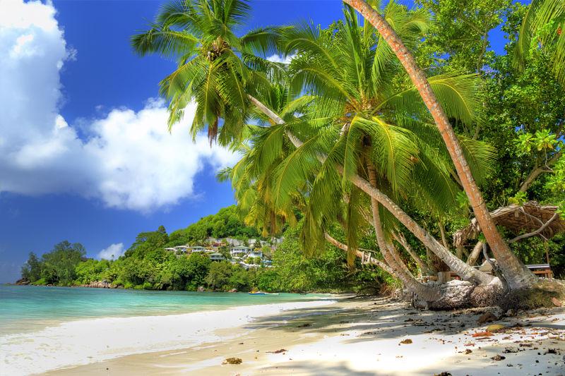 毛里求斯岛美丽的海滩