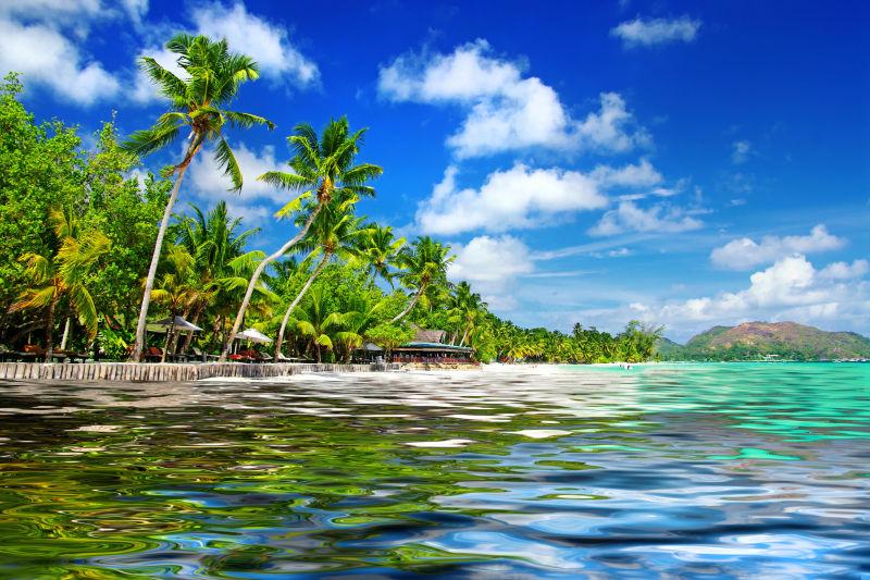毛里求斯岛美丽的海边景色