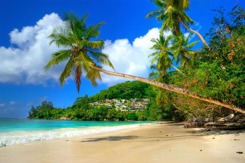 毛里求斯岛上美丽的热带景色