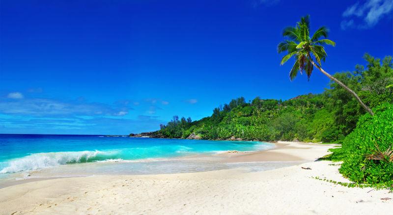 毛里求斯岛上宁静的海滩