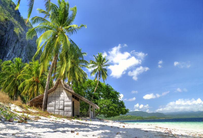 毛里求斯岛上精致的小木屋