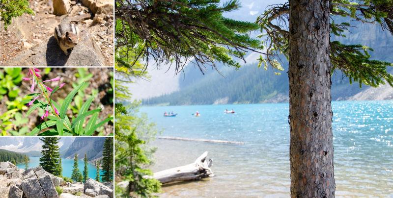 美丽的加拿大马赛克碛湖自然景观