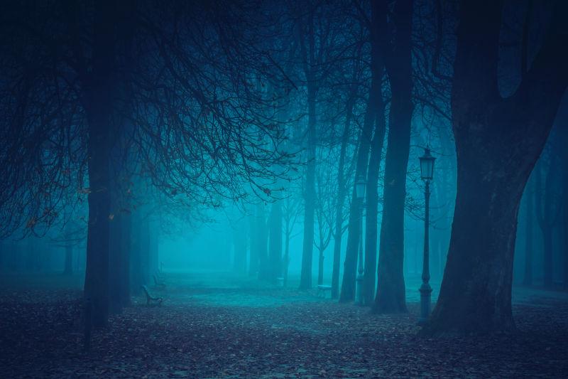 夜色下朦胧的森林夜景