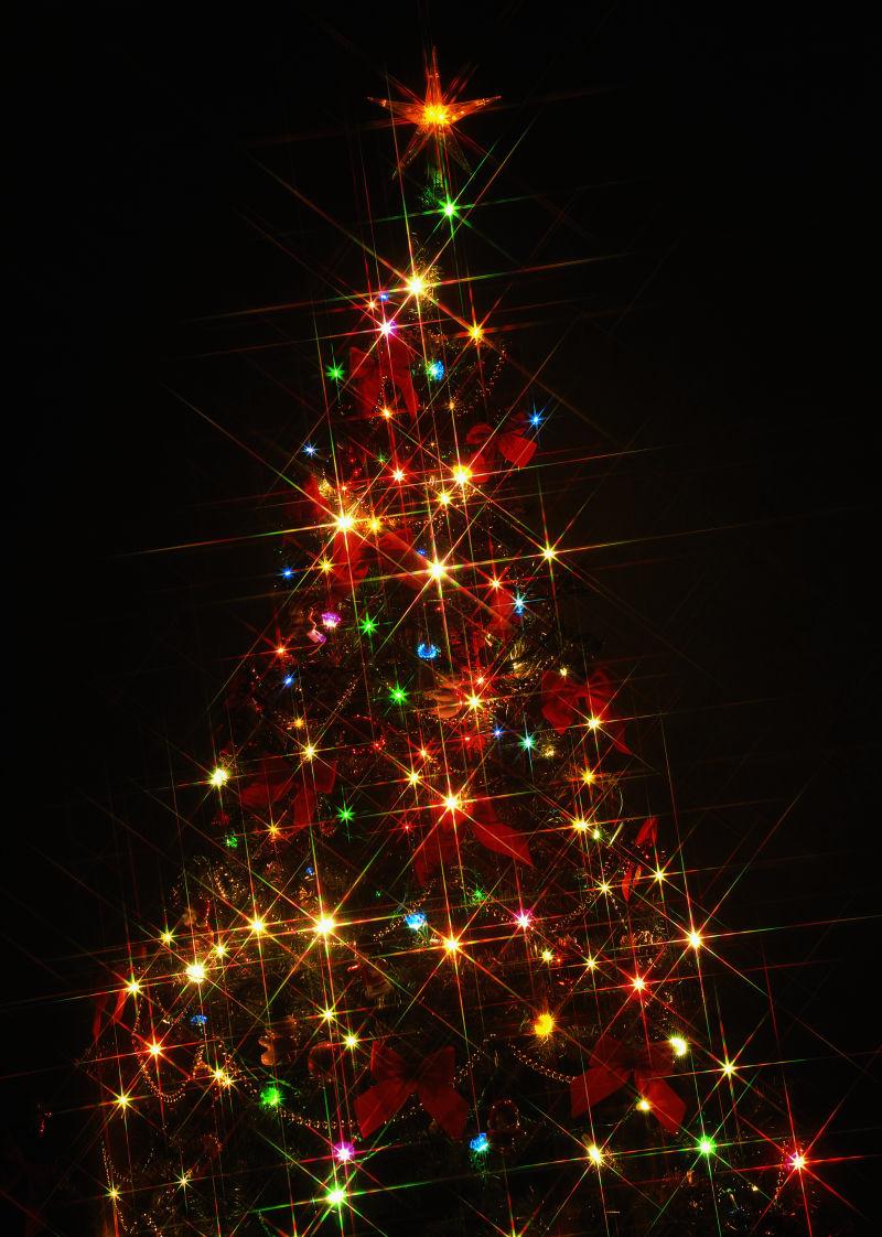 黑色背景下的圣诞树