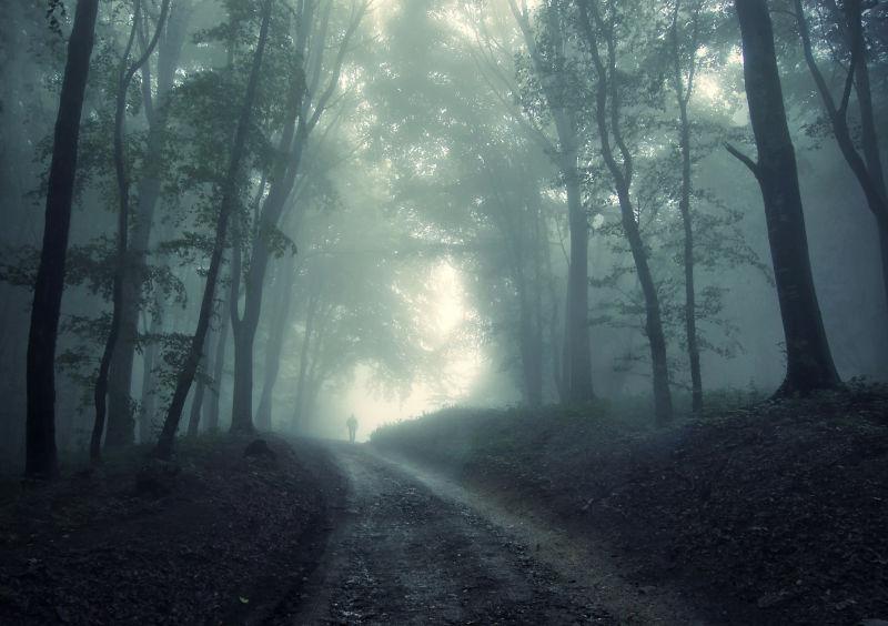 迷雾森林里的小路