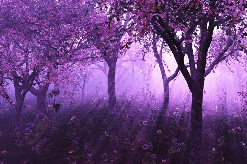 紫色的森林美景