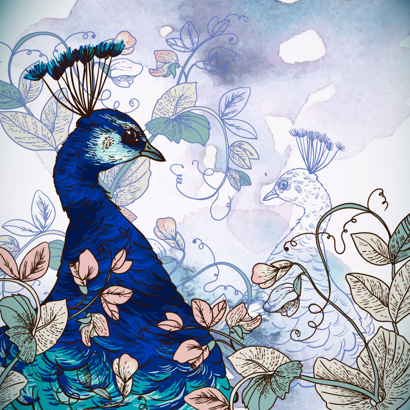 矢量漂亮的孔雀和花的插图背景
