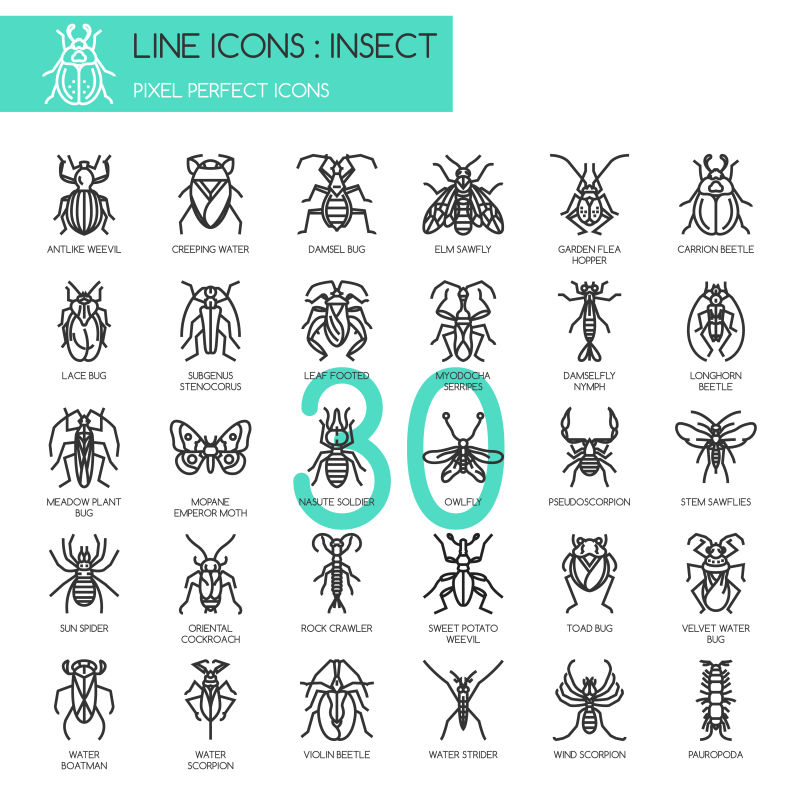 矢量创意昆虫图标设计