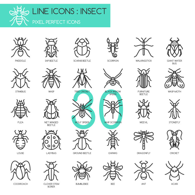 矢量昆虫相关简易图标设计