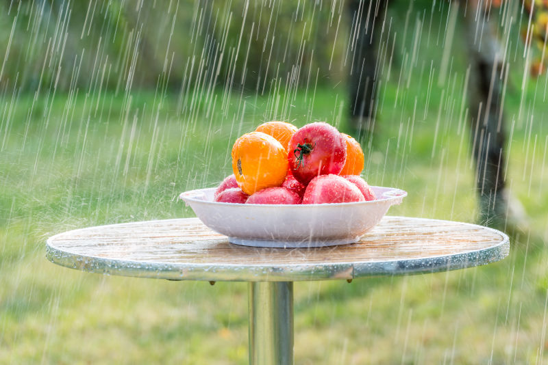 下雨时放在室外桌子上的一盘西红柿