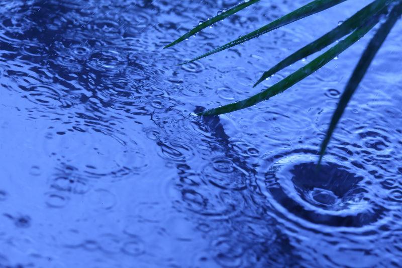 雨滴在水面形成的波纹