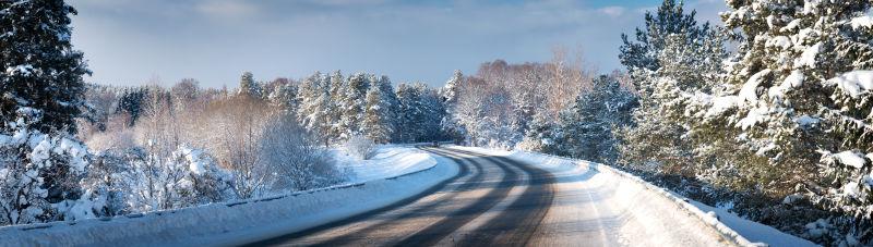 冬天两旁有柏树的下雪天的公路