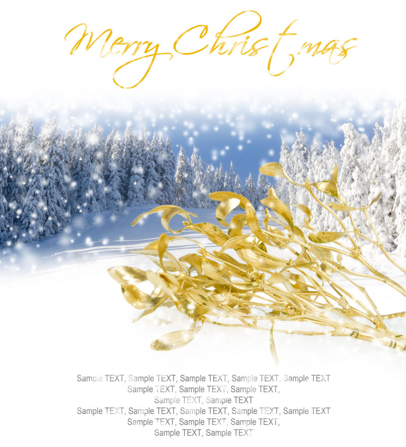 金槲寄生枝条的圣诞节背景