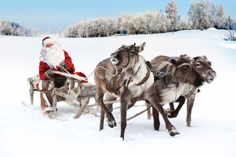 圣诞老人驾着驯鹿雪橇