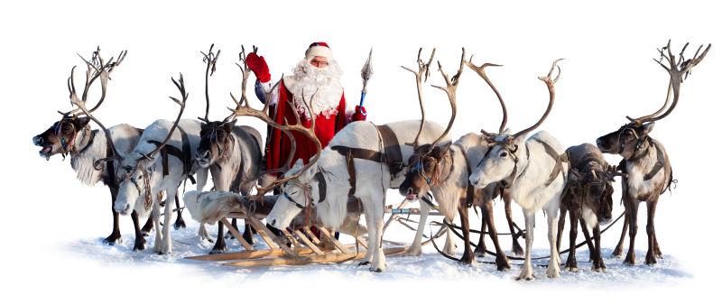 白色的背景上的圣诞老人和鹿群雪橇
