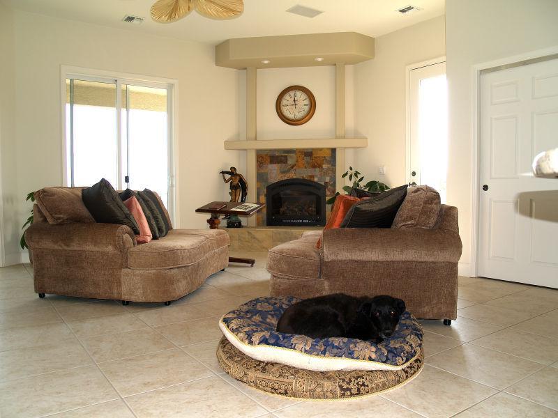 棕色沙发和白色主色调的室内设计