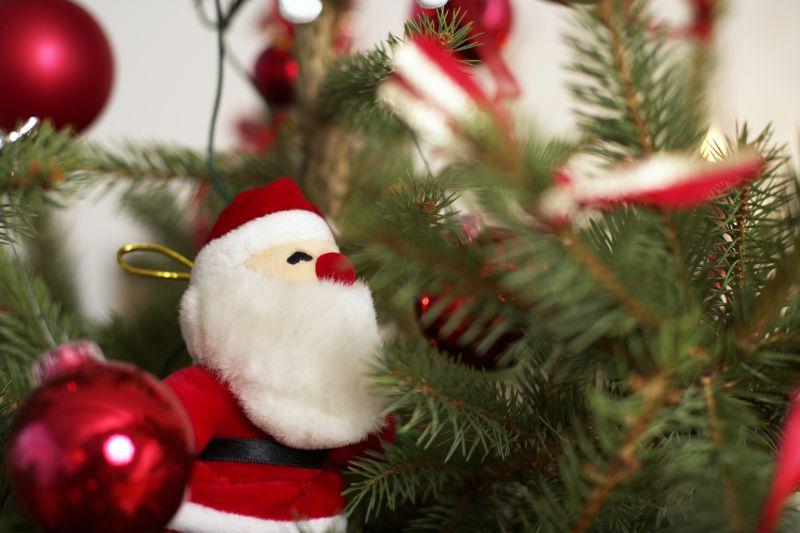 圣诞树上挂着的圣诞老人玩偶