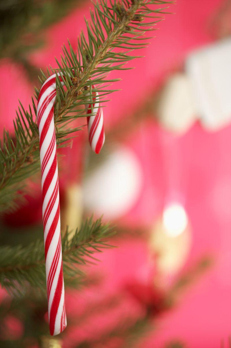 挂在圣诞树上的红色圣诞棒棒糖