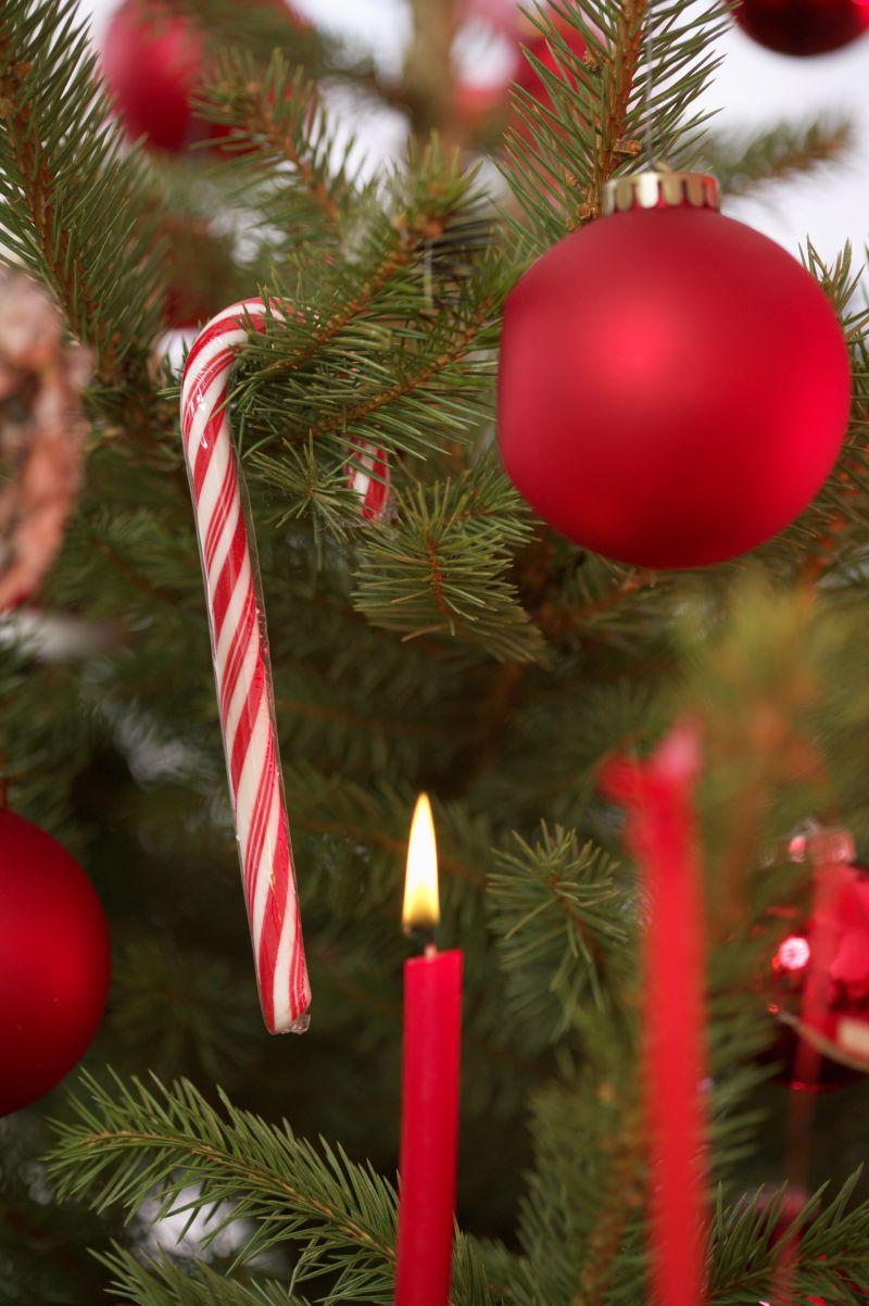 圣诞树上挂着的红色铃铛和蜡烛还有圣诞棒棒糖