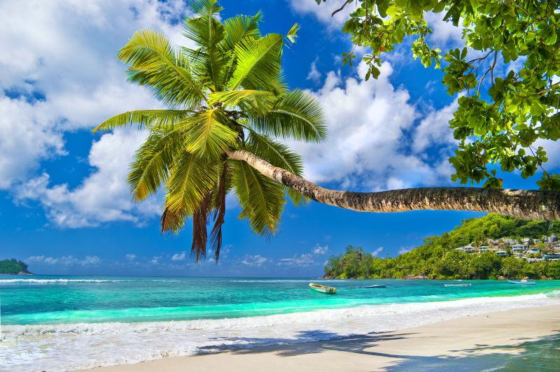 热带塞舌尔白色海滩美景