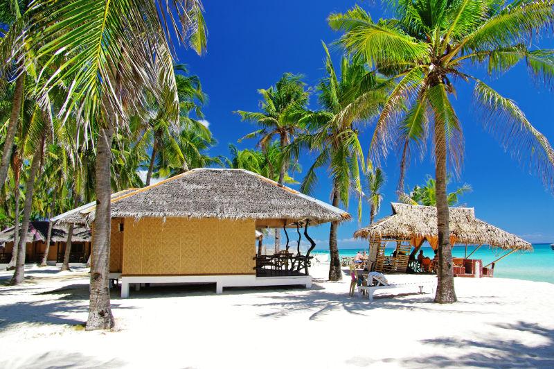 美丽的热带度假海滩上的小草屋和椰子树