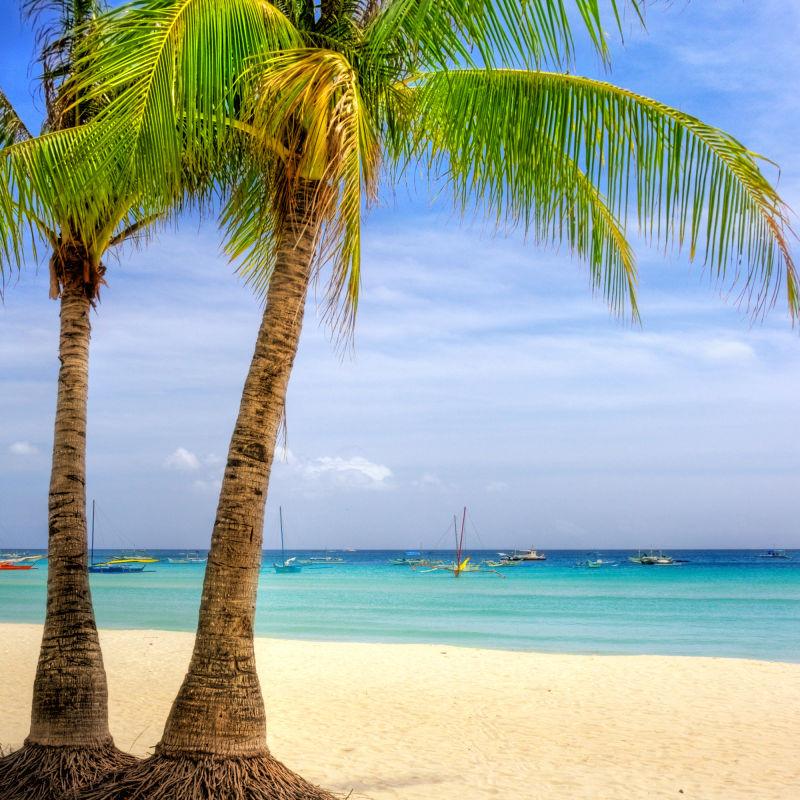 热带椰子树的美丽海滩风光