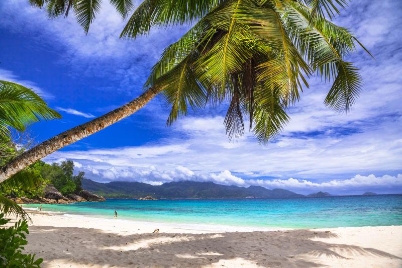 塞舌尔群岛美丽的海滩